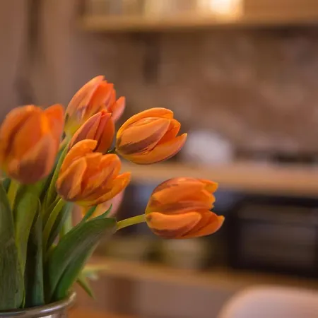 Sa Tanca 'e Pedduzza 펜션 오로세