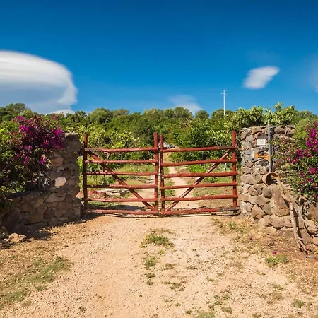 Sa Tanca 'e Pedduzza