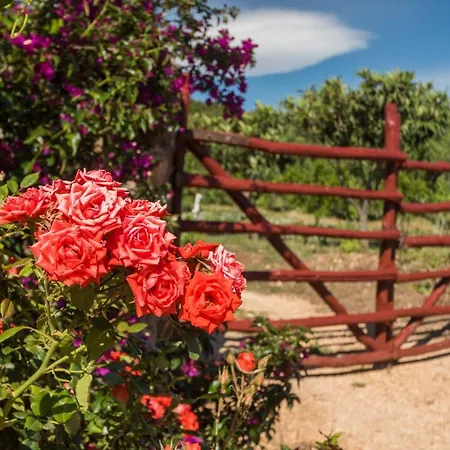 Sa Tanca 'e Pedduzza 펜션 *