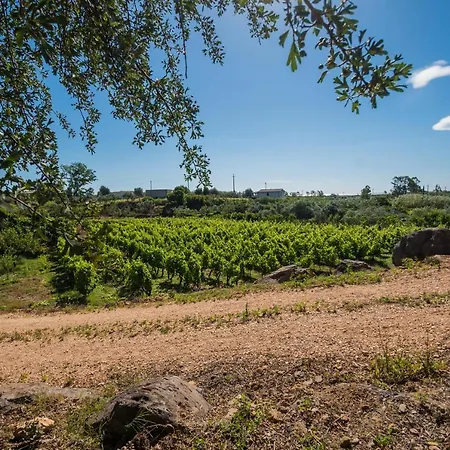 Sa Tanca 'e Pedduzza 펜션 *