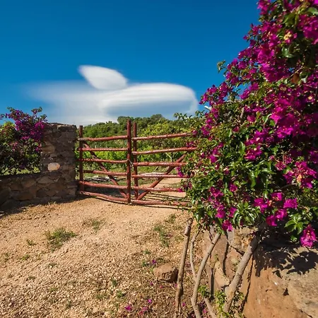 Sa Tanca 'e Pedduzza 오로세