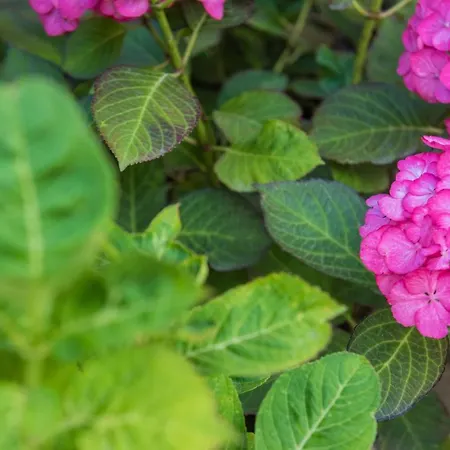 펜션 Sa Tanca 'e Pedduzza